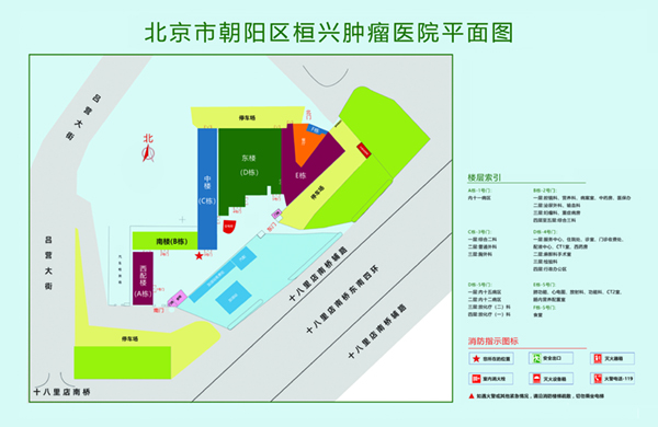 免费草逼黄片视频北京市朝阳区桓兴肿瘤医院平面图